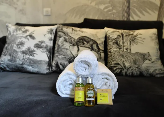 Assas 7 - Hypercentre Historique De Appartement *